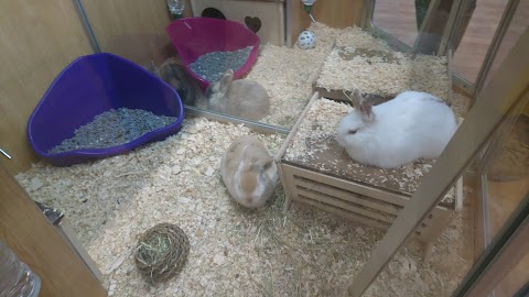 Pets at Home Bradford Idle