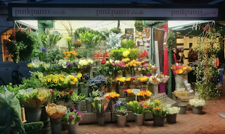 Pink Pansy Flowers Covent Garden