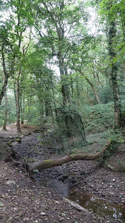 Borsdane Wood