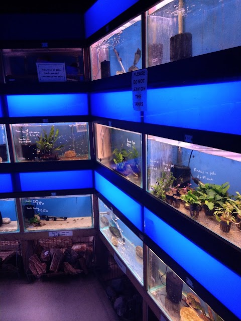 HD1 Aquatics and exotic pets