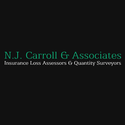 N.J. Carroll & Associates Ltd