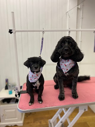 MK Dog Grooming