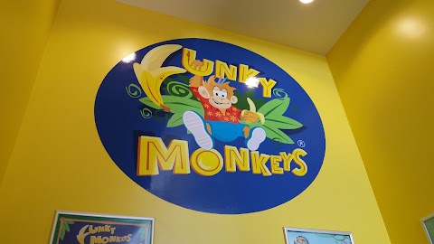 Funky Monkeys Dundrum, Dublin