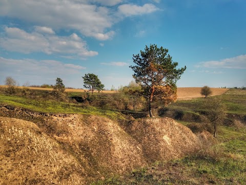 САДІВНИЧЕ ТОВАРИСТВО "НАДІЯ" (СТ "НАДІЯ")