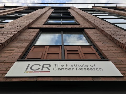 The Institute of Cancer Research, London