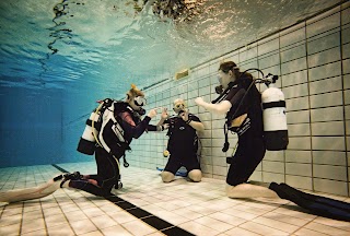 Northampton Scuba School