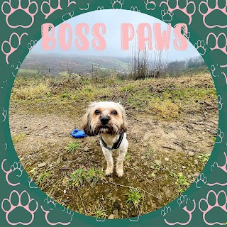 Boss Paws Dog Walking