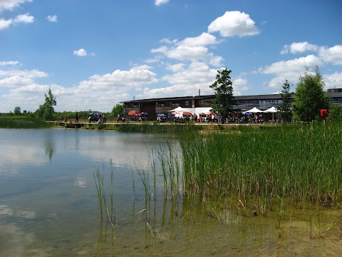 The Forest Centre & Millennium Country Park