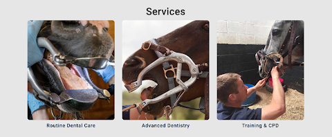 Jason McKeown Equine Dentistry