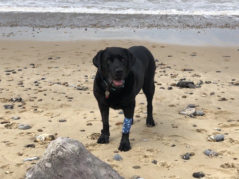 Broadland House Veterinary Surgery