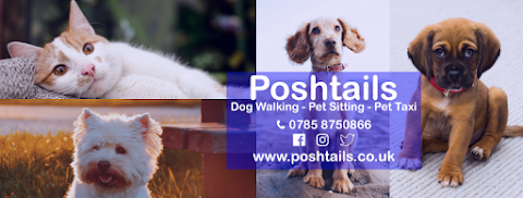 Poshtails Pet Services