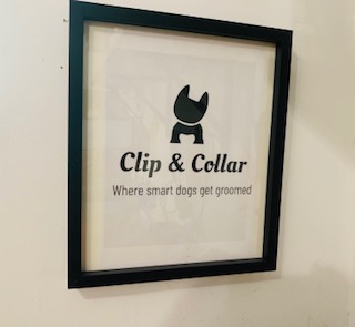 Clip & Collar Dog Groomers