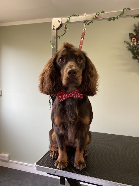 HOUNDS Dog Grooming