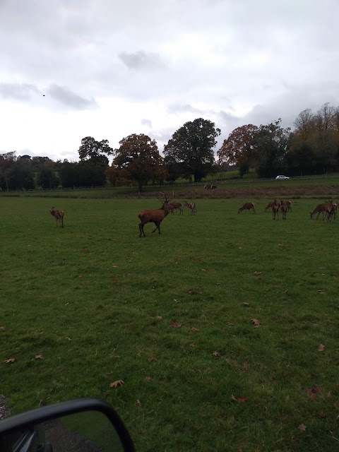 New Forest Cottage Holidays