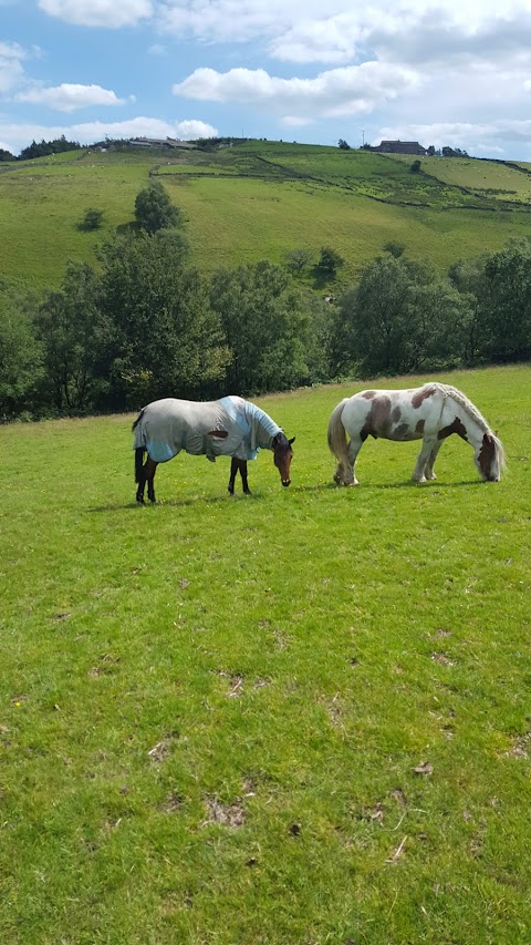 Bottoms Farm