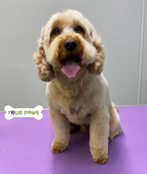 Four Paws Pet Grooming Salon - Lymm