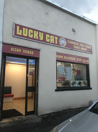 Lucky Cat