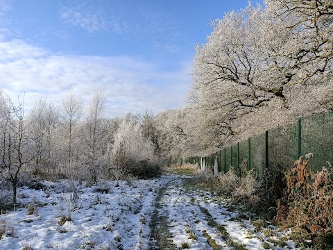 Birmingham Institute of Forest Research