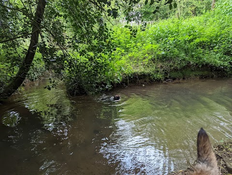 Mill Park Reserve - Long Buckby Green Spaces