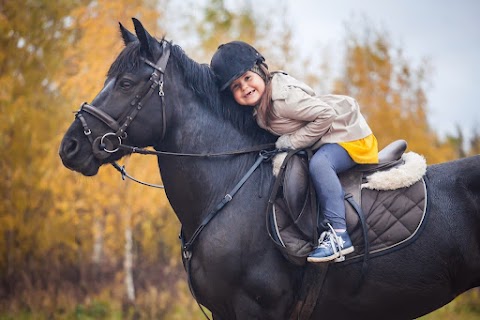 Центр Іпотерапії "Спіріт", реабілітаційний центр