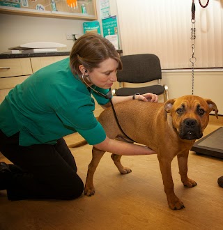 Scarsdale Vets - Stretton