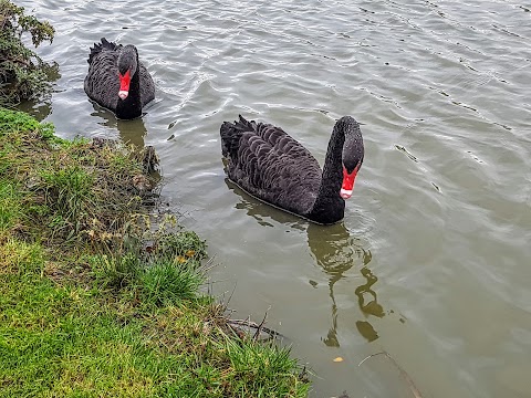 Lindholme Lakes Country Park