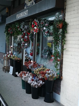 Edelweiss Florist