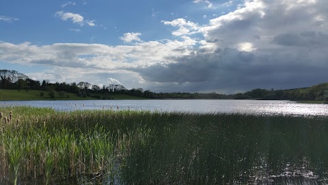 The Mill at Ballydugan