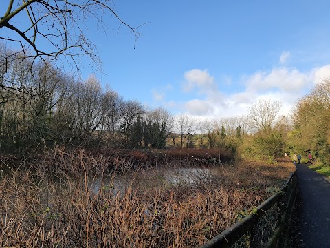 Kiltonga Nature Reserve