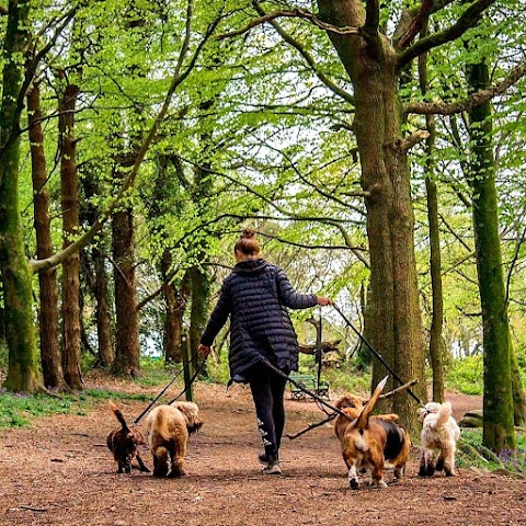 Furbabiesgowalkies