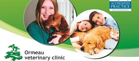 Cedar Grove & Ormeau Veterinary Clinic