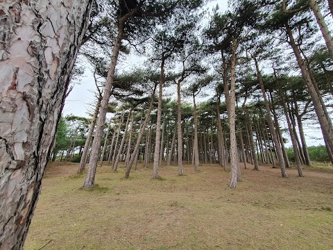 Formby Beach (Fishermans Path)