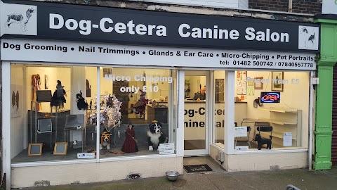 Stephen’s Canine Salon