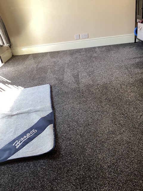 All Seasons Clean - Carpet & Oven Cleaning