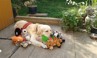 Ewell Veterinary Centre