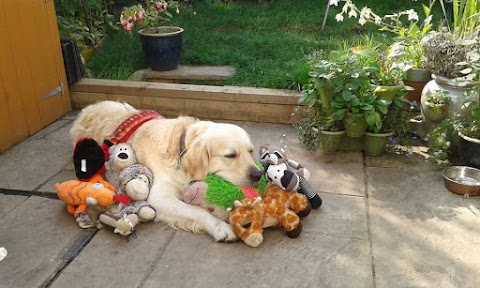 Ewell Veterinary Centre