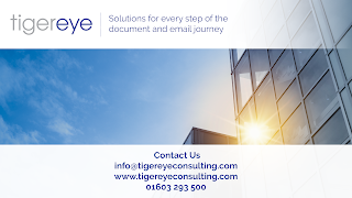 Tiger Eye [Tiger Eye Consulting Ltd]