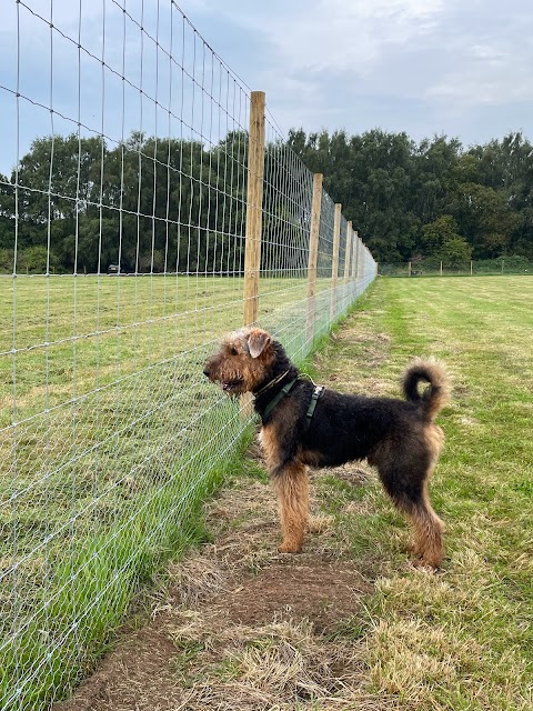 Unleash the Dogs - Uddingston Dog Fields