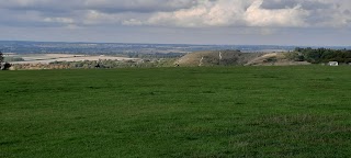 Whipsnade White Lion