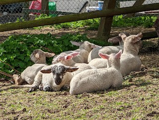 Floralands Farm Park