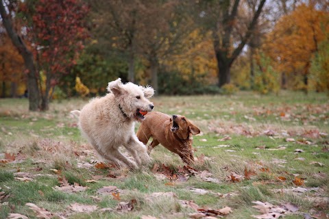 Agnes & Pavel