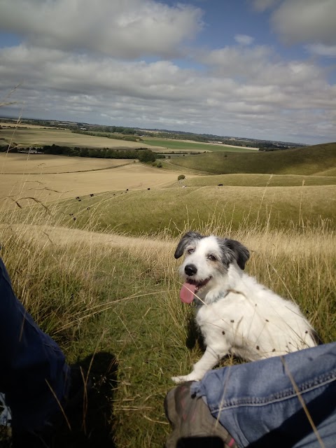 Hale Veterinary Group, Chippenham Hospital