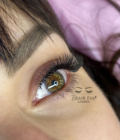 Black Fox lashes