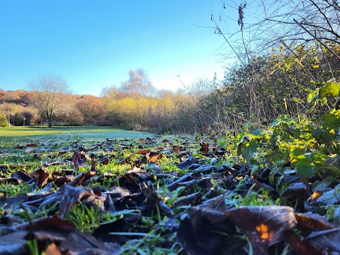 Dearne Valley Park