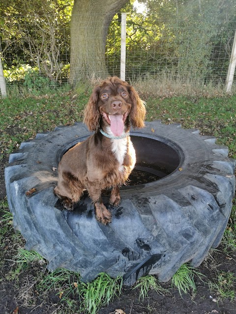 Happy Tails dog park Ledsham