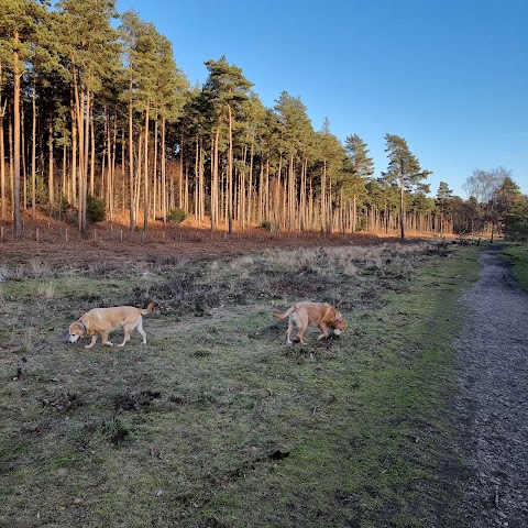 Clumber Park Caravan and Motorhome Club Campsite