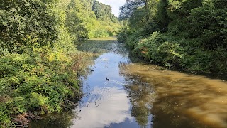 Stover Country Park