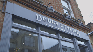 Doggy Styling Boutique & Grooming