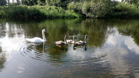 Ringland River Green