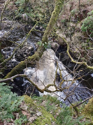 Linhouse Water Waterfall